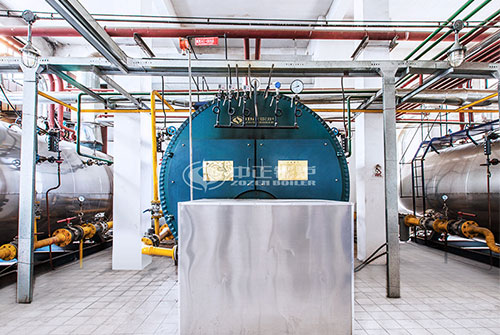 燃氣鍋爐廠家-WNS燃氣鍋爐